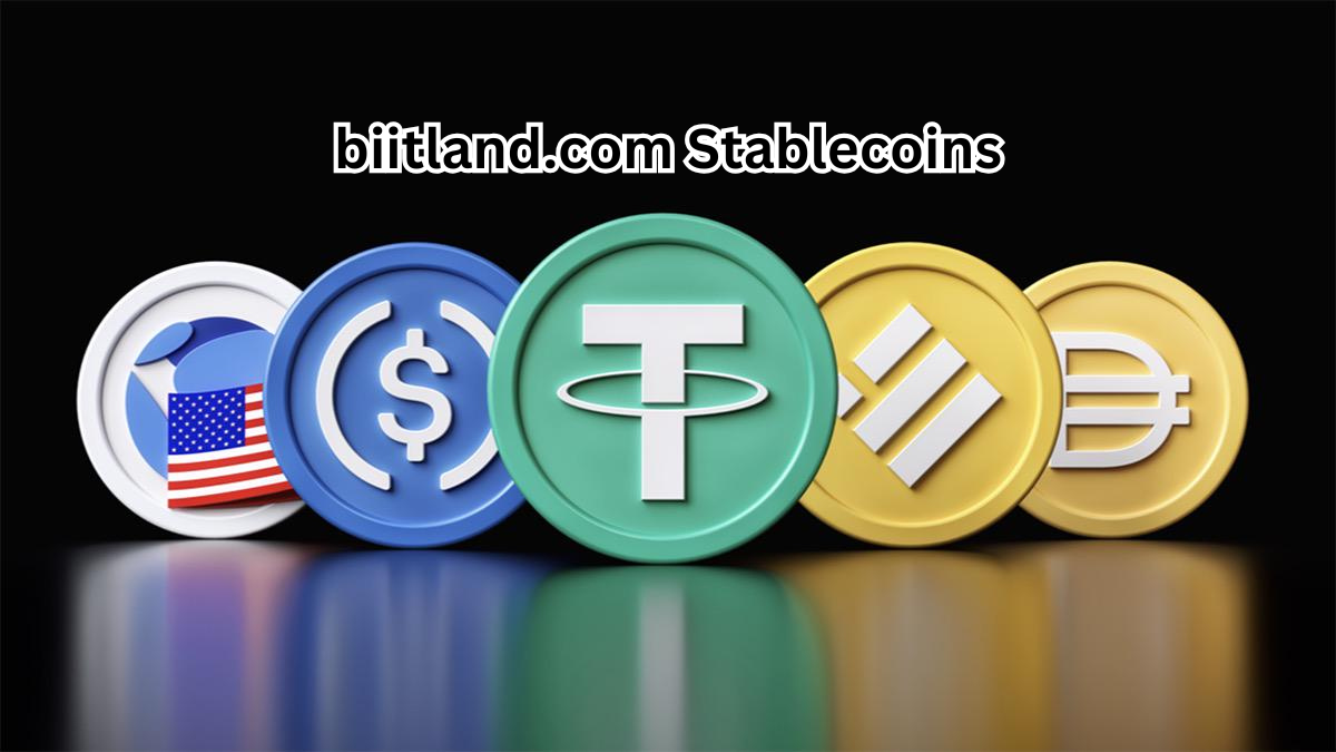 biitland.com Stablecoins